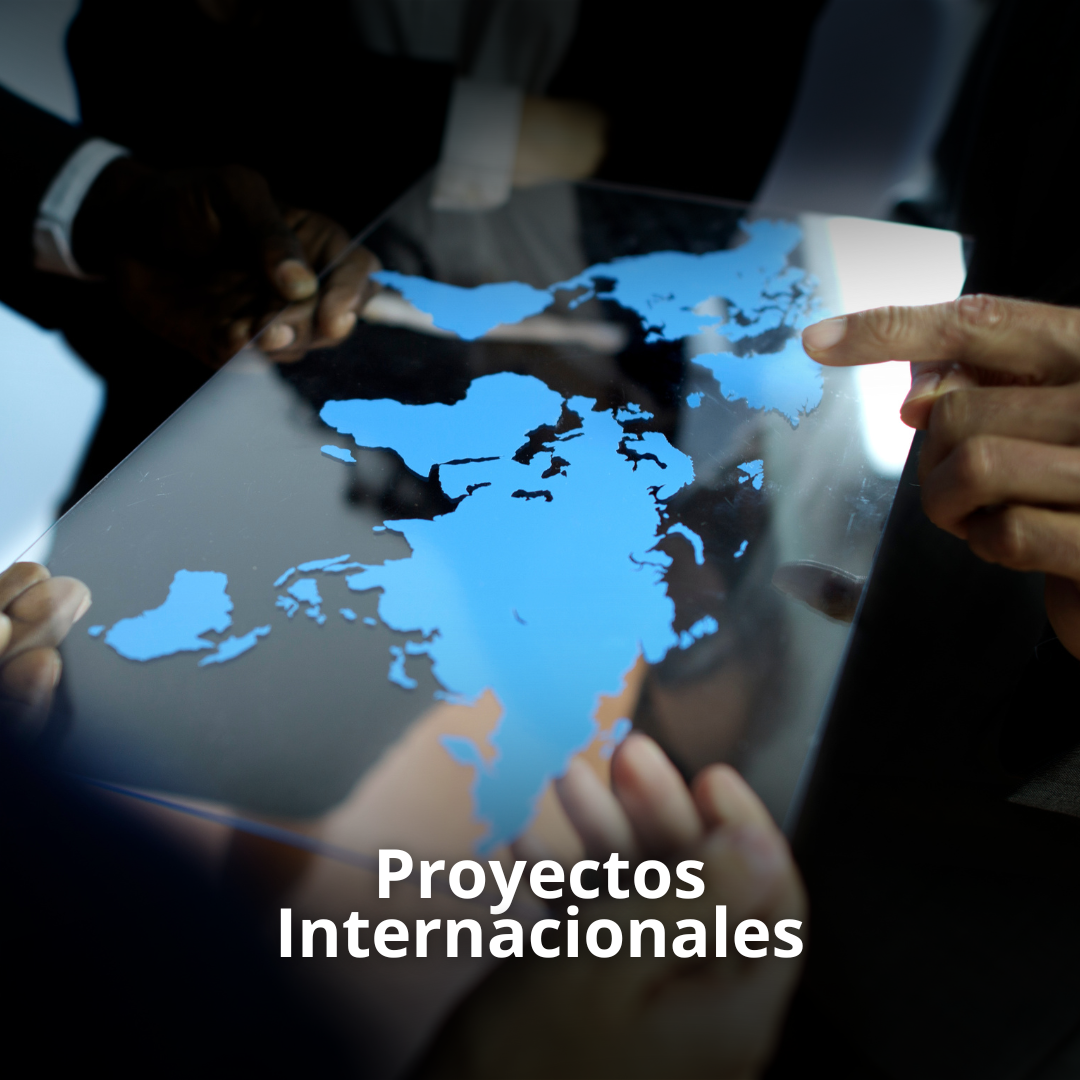 Proyectos Internacionales